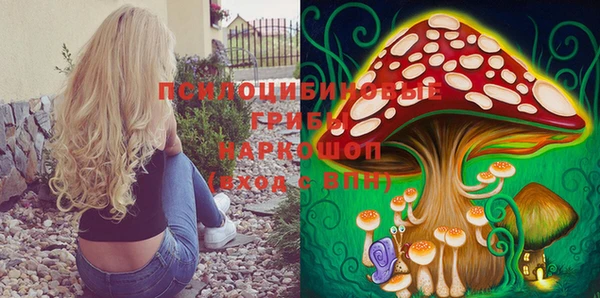 винт Михайловка