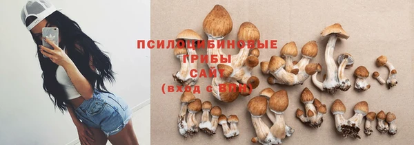 амф Алексин