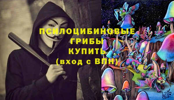 амф Алексин