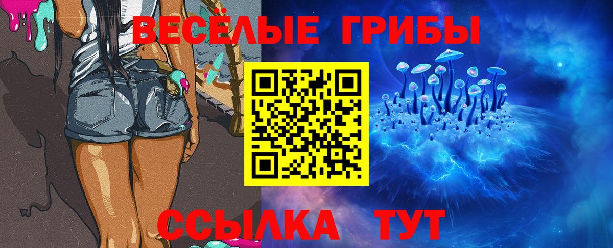 Псилоцибиновые грибы GOLDEN TEACHER Брянск